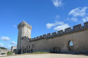 La Tour du Chateau